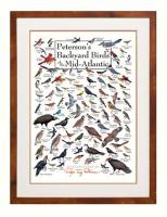 Steven M. Lewers & Associates Peterson's Backyard Birds of Mid-Atlantic Poster