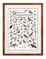 Steven M. Lewers & Associates Peterson's Backyard Birds of the Midwest Poster
