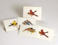 Steven M. Lewers & Associates Peterson Bird Notecard Assortment (2 each of 4 styles)