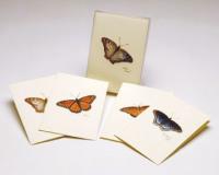 Steven M. Lewers & Associates Butterfly Notecard Assortment II (2 each of 4 styles)