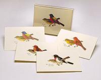 Steven M. Lewers & Associates Peterson Bird Notecard Assortment II (2 each of 4 styles)