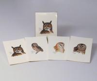 Steven M. Lewers & Associates Peterson's Owls Notecard Assortment (2 each of 4 styles)
