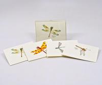 Steven M. Lewers & Associates Dragonfly & Damselfly Notecard Assortment II (4 each of 2 styles)