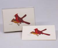 Steven M. Lewers & Associates Cardinal Notecards with Envelopes