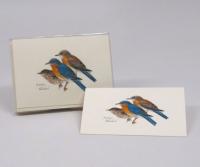 Steven M. Lewers & Associates Eastern Bluebird Notecard Assortment (8 of 1 style)