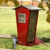 Woodlink Audubon Series Snack Shop Bird Feeder