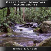 Peaceful Valley Productions Great Smoky Mountain Birds & Creek CD