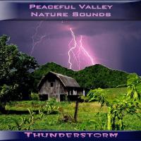 Peaceful Valley Productions Peaceful Valley Nature Sounds Thunderstorm CD