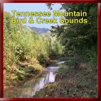 Peaceful Valley Productions Tennessee Mountain Bird & Creek Sounds CD