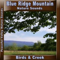 Peaceful Valley Productions Blue Ridge Mountain Birds & Creek CD