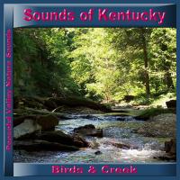 Peaceful Valley Productions Sounds of Kentucky Birds & Creek CD
