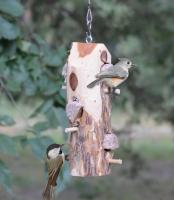 Songbird Essentials 3 Plug Suet Log Bird Feeder with Perches