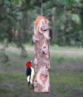 Songbird Essentials 6 Plug Suet Log Bird Feeder Without Perches