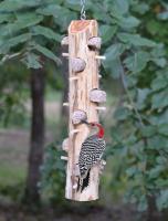 Songbird Essentials 6 Plug Suet Log Bird Feeder With Perches