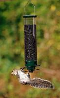 Droll Yankees Yankee Flipper Squirrel Proof Tube Bird Feeder