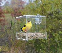 Songbird Essentials Clear View Mini Window Bird Feeder 
