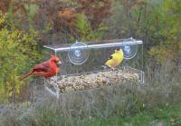 Songbird Essentials Clear View Deluxe Open Diner Window Bird Feeder