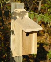 Heartwood Western Bluebird Joy Box Birdhouse