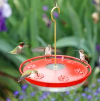 Aspects HighView Excel Hummingbird Feeder