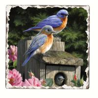 Counter Art Bluebirds Number 2 Single Tumbled Tile Coaster