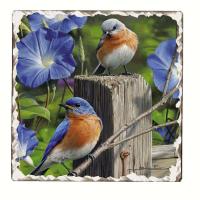 Counter Art Bluebirds Number 3 Single Tumbled Tile Coaster