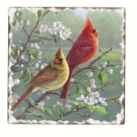 Counter Art Cardinals Number 1 Single Tumbled Tile Coaster