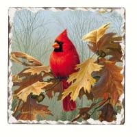Counter Art Cardinals Number 2 Single Tumbled Tile Coaster