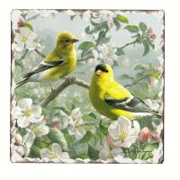 Counter Art Goldfinches Number 1 Single Tumbled Tile Coaster