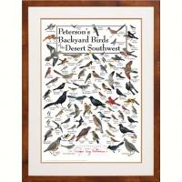 Steven M. Lewers & Associates Peterson's Backyard Birds of the Desert SW Poster