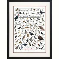Steven M. Lewers & Associates Peterson's Backyard Birds of Pacific NW Poster