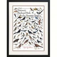 Steven M. Lewers & Associates Peterson's Backyard Birds of the Rocky Mountains Poster