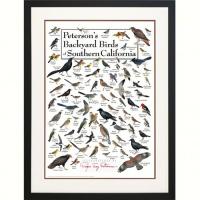Steven M. Lewers & Associates Peterson's Backyard Birds of Southern California Poster