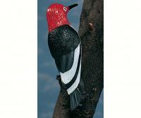 Artline Woodpecker Tree Ornament