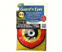 Dalen Guard'N Eyes