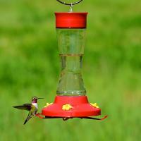 Perky Pet Hardened Glass Hummingbird Bird Feeder