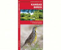 Waterford Kansas Birds