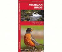 Waterford Michigan Birds