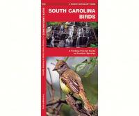 Waterford South Carolina Birds
