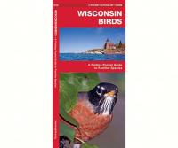 Waterford Wisconsin Birds