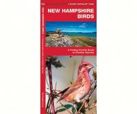 Waterford New Hampshire Birds
