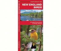 Waterford New England Birds
