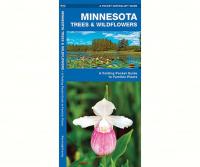 Waterford Minnesota Trees & Wildflowers