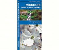 Waterford Missouri Trees & Wildflowers