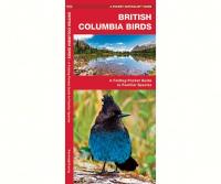 Waterford British Columbia Birds