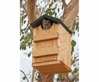 Songbird Essentials Screech Owl House