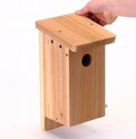 Bird's Choice Songbird Nest Box Kit in Cedar