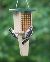 Bird's Choice Single Cake Tail Prop Suet Feeder with Green Roof	