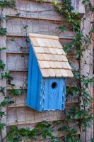 Heartwood Bluebird Bunkhouse Bird House - Blue