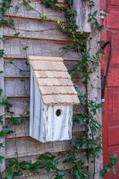 Heartwood Bluebird Bunkhouse Bird House - White