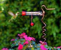Songbird Essentials Flower Pot One Tube Hummingbird Bird Feeder